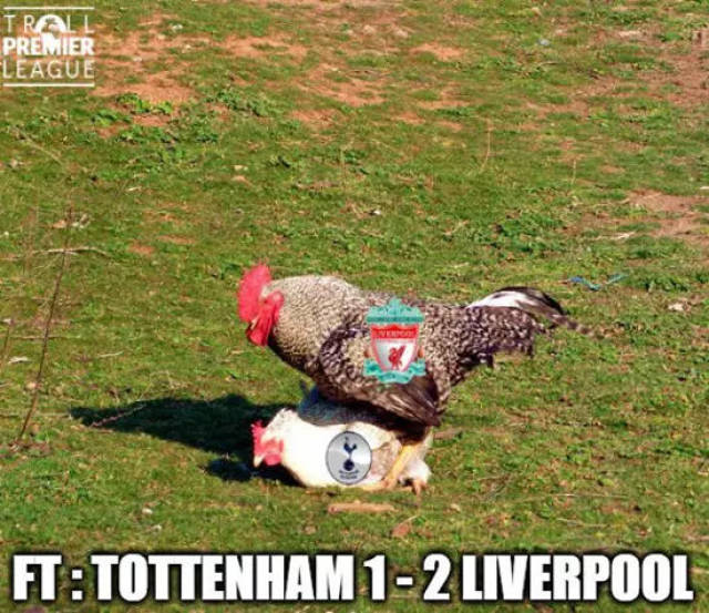 四川男篮为何中信接盘仍13连败？只是短期阵痛下赛季引强援可回血